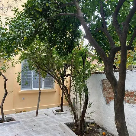 Villa Vila Vorpsi Your In With Garden Tirana